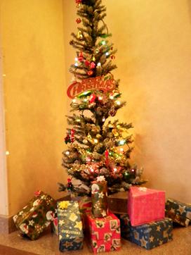 Christmas_tree121124.JPG